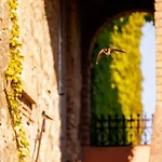 Relais Sant'elena