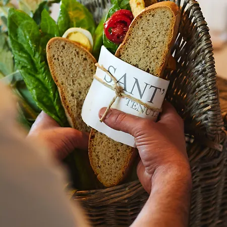 Relais Sant'elena Bed & Breakfast Bibbona
