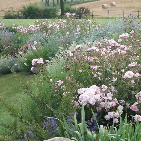 Bed & Breakfast Relais Sant'elena Bibbona