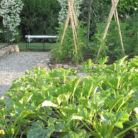 Bed & Breakfast Relais Sant'elena 4*