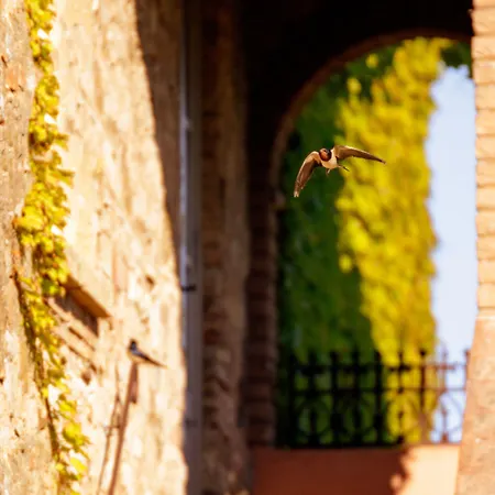 Relais Sant'elena