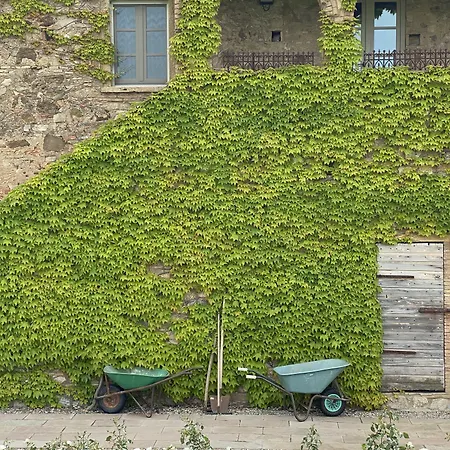 ベッド・アンド・ブレックファスト ルレ サンテレーナ 4*